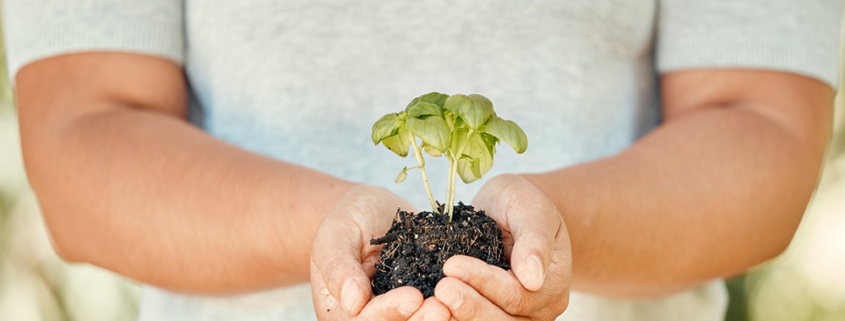 agenda 2030 sviluppo sostenibile general cover