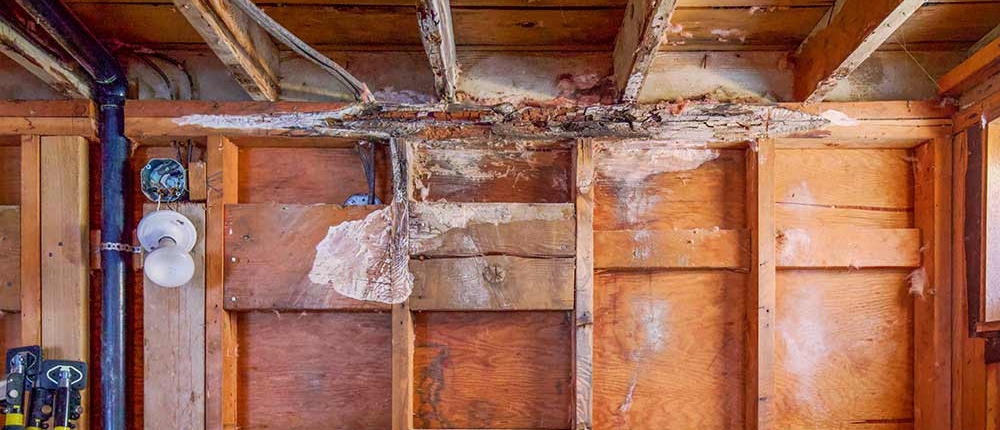 Ristrutturazione rustico