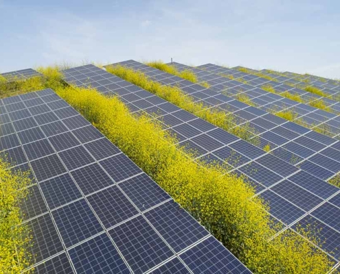 agrivoltaico come funziona