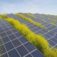 agrivoltaico come funziona