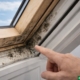 Ispezione lucernario Velux perdita acqua Lombardia